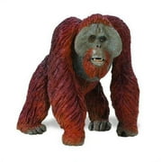 Safari Ltd Wildlife Wonders Bornean Orangutan