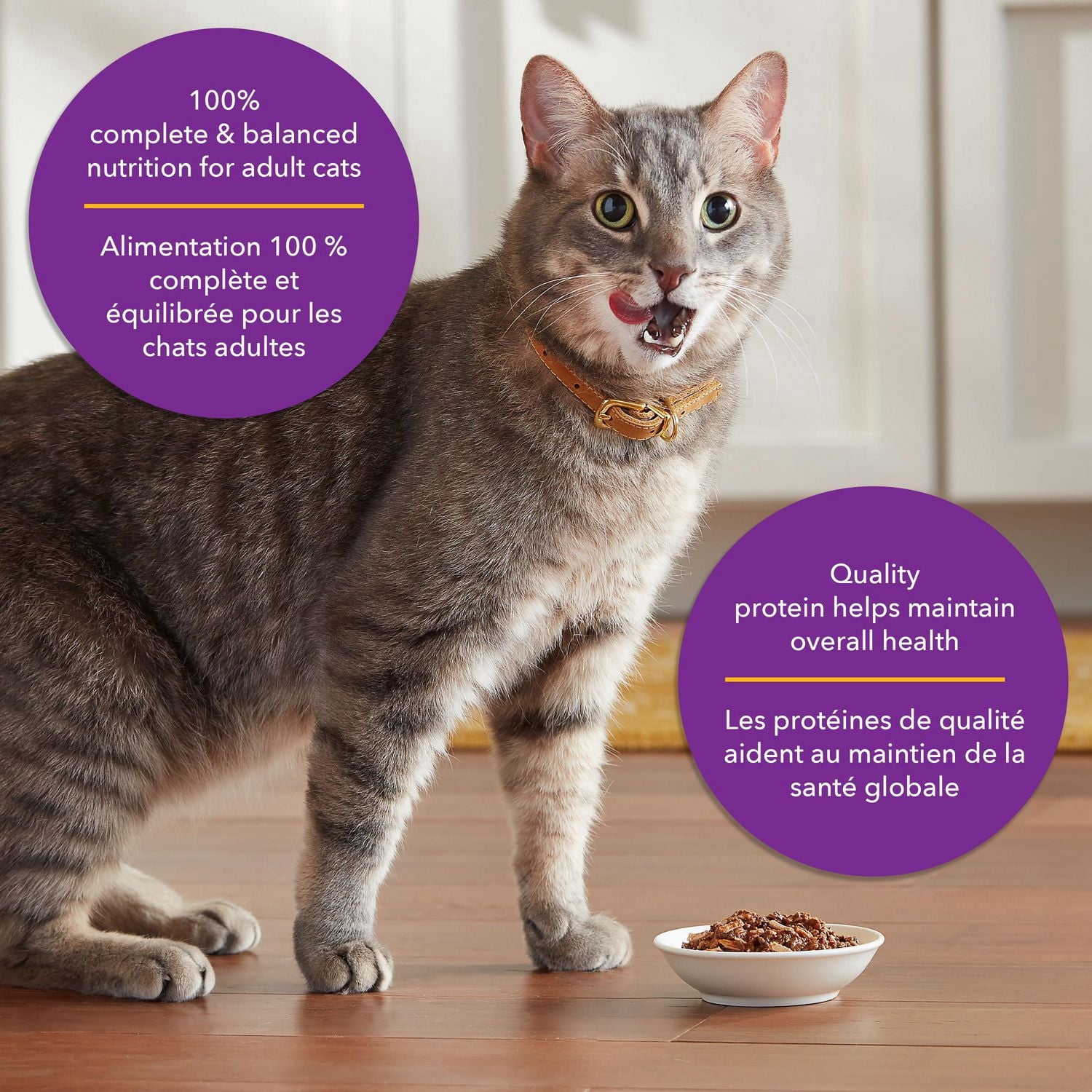 Meow Mix Tenders in Sauce with Real Tuna & Whole Shrimp, Wet Cat Food, 78g