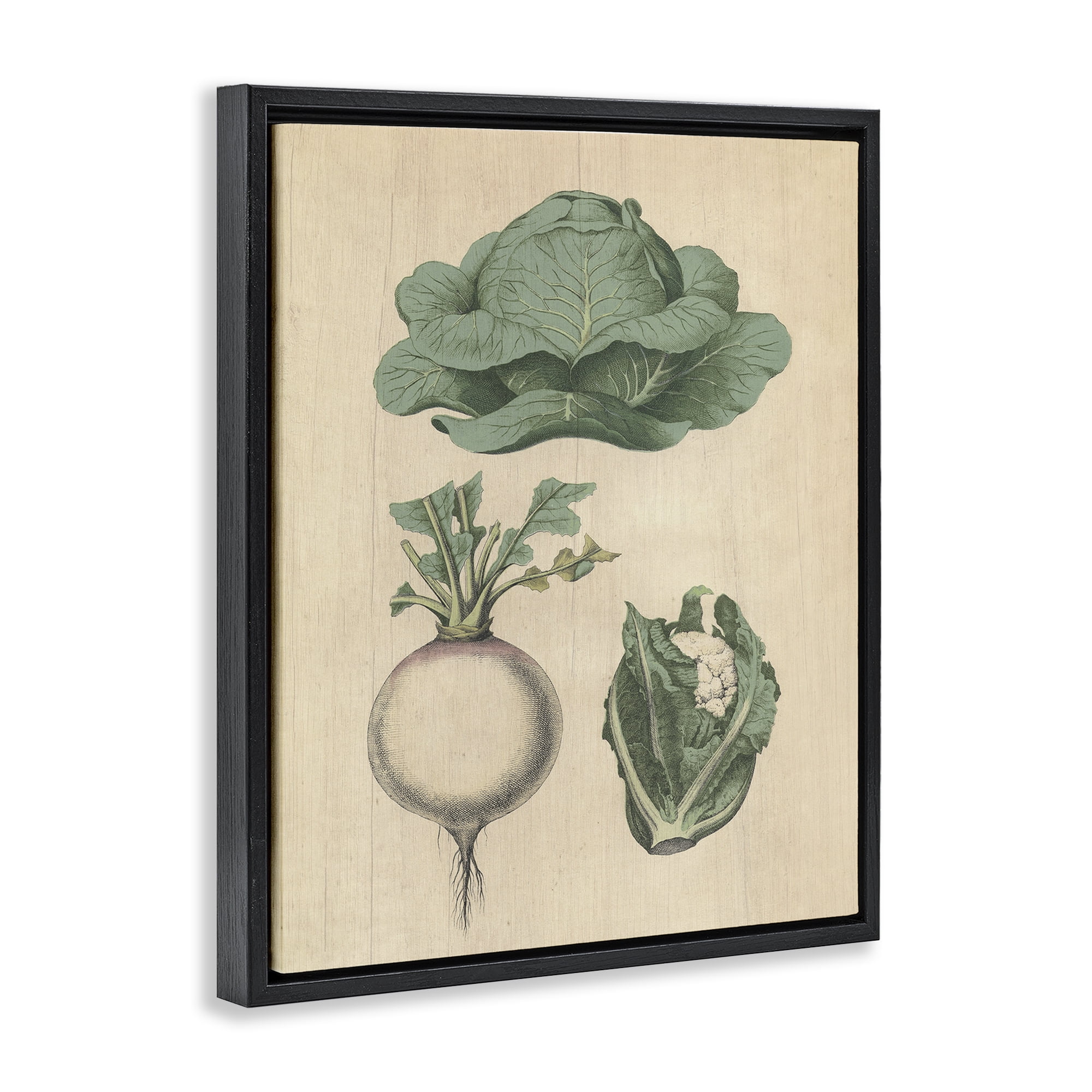 Stupell Industries Vintage Garden Vegetables Food & Beverage Painting Black Floater Framed Canvas Art Print Wall Art, 17 x 21
