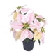 thumbnail image 5 of Arreglo floral artificial de flor de Pascua para , adorno de flores artificiales para chimenea, fiesta de , festival, oficina., 5 of 9
