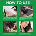 thumbnail image 5 of 3 in 1 Jamaican black castor oil + Amla Oil + Black seed oil (Shampoo and Conditioner), 5 of 7