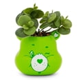 thumbnail image 1 of Mini maceta Silver Buffalo Care Bears Good Luck Bears, 1 of 1