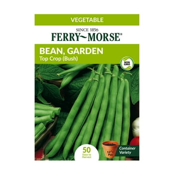 Ferry-Morse 9G Bean, Garden Top Crop (Bush) Vegetable   Packet