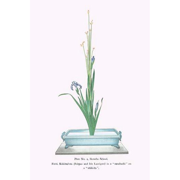 Futoi, Kakitsubata (Scirpus & Iris Laevigata) in a Sunabachi-Fine Art Canvas Print (20" x 30")