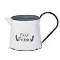 thumbnail image 1 of IMAX Z17210 Farm Fresh Large Decorative Pitcher - White, 1 of 1