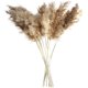 thumbnail image 1 of 30/50 piezas de hierba de pampa, 50 22.8 in de hierba de pampa natural para decoración del hogar, ramo de hierba de flores de caña seca, decoración floral artificial, decoración de boda, 30 unidades, 1 of 5