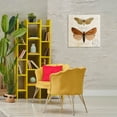 thumbnail image 3 of Stupell Industries Butterfly Latin Studies Insects Painting Wrapped Canvas Art Print Wall Art, 24 x 24, 3 of 8