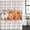Gray, variant on Fall Pumpkin Shower Curtain Set - 72" x 78" Washable Bathtub Curtain with 12 Hooks, Thanksgiving Autumn Leaves Floral Waterproof Fabric Stall Shower Curtains for Bathroom/Bathtub Décor
