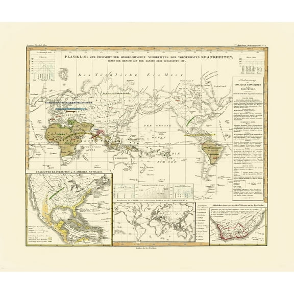 Historic Map - World Principal Diseases - Berghaus - 27.08 x 23 - Vintage Wall Art