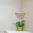 thumbnail image 3 of Wood Corner Wall Shelf for Storage Multi Colored Space Saving Design Easy Installation Fits Small, 3 of 6
