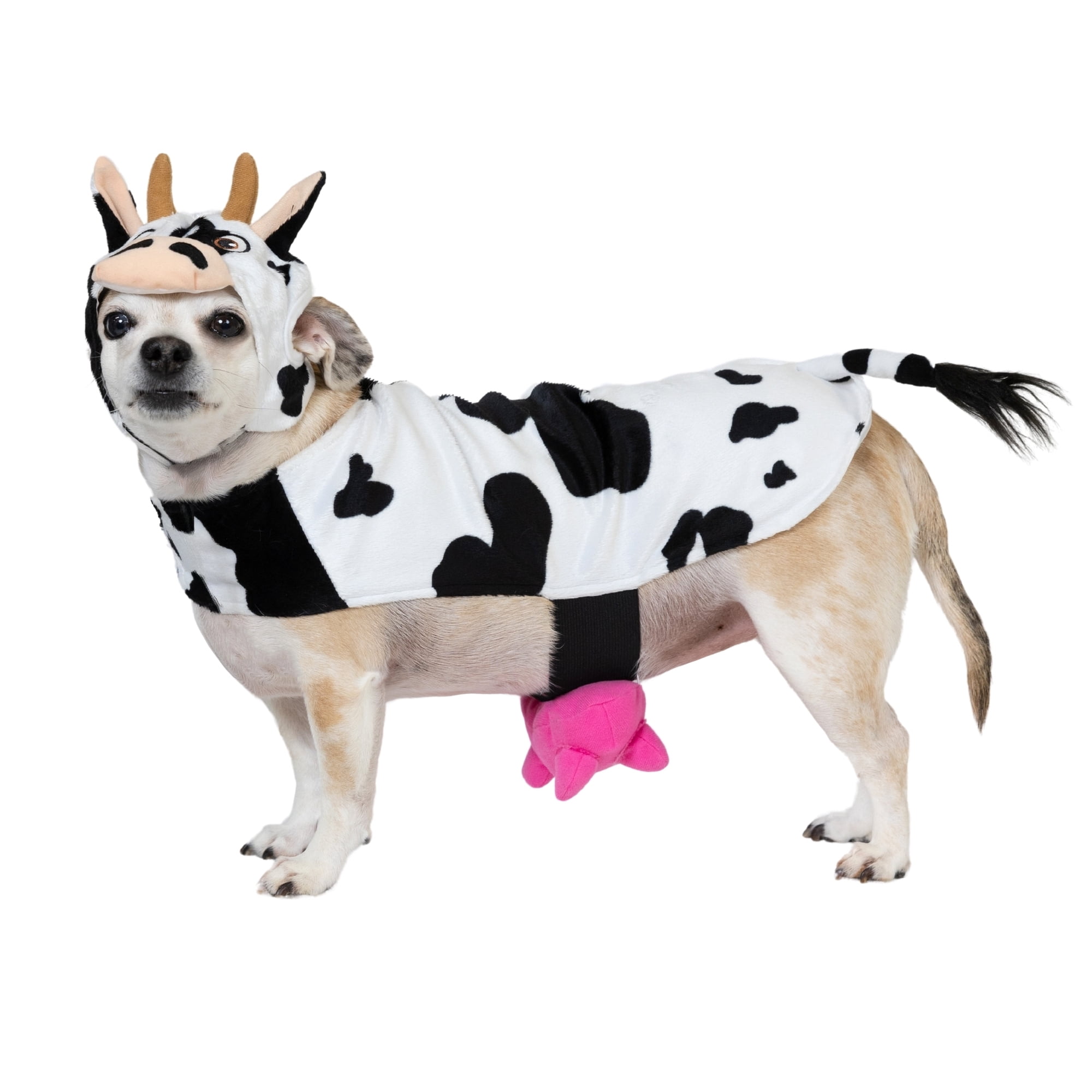 Vibrant Life Halloween Costume for Dogs & Cats, Cow, Black & White, Small