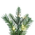 thumbnail image 5 of Vickerman 24" Douglas Fir Artificial Pre-Lit Wreath, Warm White 3mm Low Voltage LED Wide Angle Lights., 5 of 6