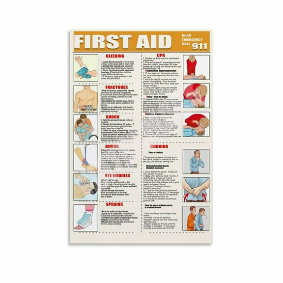 First Aid Guide Poster,First Aid Poster,First Aid Knowledge Poster (6) Canvas Painting Wall Art Poster for Bedroom Living Room Decor