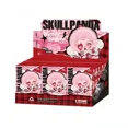 thumbnail image 3 of [In Stock]SKULLPANDA Winter Symphony Series Blind Box Figure Vinyl Plush Doll Mystery Box Surprise Guess Bag Ornament Toy Gifts, 3 of 5