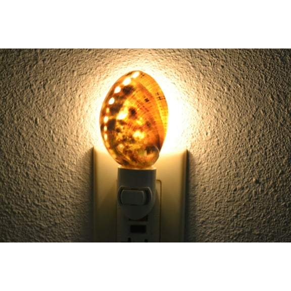 Green Abalone Seashell Nightlight