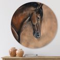 thumbnail image 2 of Designart 'Close Up Portrait Of A Brown Bay Horse' Farmhouse Circle Metal Wall Art 11x11 - Disc of 11, 2 of 5