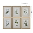 thumbnail image 3 of Uttermost 33651 Green Floral Botanical Study Six Piece Framed Print Set By Grace Feyock -, 3 of 3