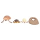 thumbnail image 1 of Modelo de simulación de animales, animales marinos, ciclo de vida, modelo cognitivo, juguete científico para niños, 2423, 1 of 9