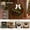 #01, variant on 16 Inch Christmas Wreath for Front Door, Artificial Pine Wreath with Large White Bow and Red Berries, Classic Holiday Door Wall Window and Porch Decoration