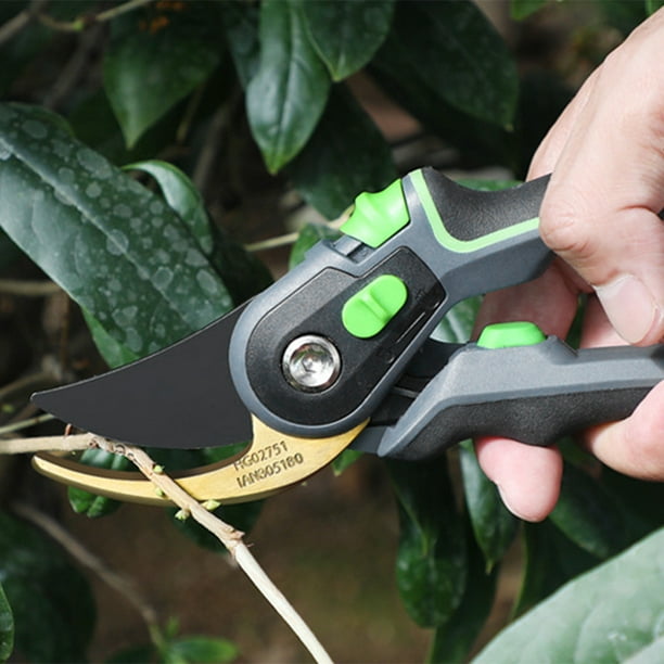 Bush cheap cutting scissors