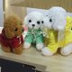 thumbnail image 3 of FELTECHELECTR Peluche de caniche de imitación de 25 cm para niños (marrón y color de ropa al azar), 3 of 7