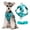 Blue, variant on HHBEAUTY Summer Cat and Small Dog Chest Harness and Leash, Anti-Escape Adjustable Soft Mesh Cat Leash and Chest Harness Set for All Types of Cats Cat Vests, Hot Pink
