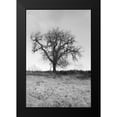 thumbnail image 2 of Blaustein, Alan 17x24 Black Modern Framed Museum Art Print Titled - Coastal Oak Series No. 30, 2 of 5