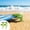 Vert, variante sur TTJ Pinces pour Tapis de Plage Pinces à Serviettes Pinces Coupe-Vent pour Couvertures de Pique-Nique Pinces de Tente en Plastique 4 Pcs Supports de Tapis d'Extérieur pour Camping, Sable et Pelouse