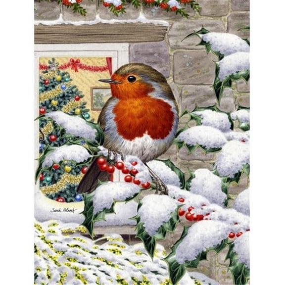 European Robin At The Window Flag Garden Size
