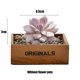 thumbnail image 2 of 7 Uds simulación suculenta cielo crema cabeza de loto accesorios creativos DIY plantas verdes artificiales, 2 of 5