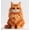 A, variant on QPAZ Cat Lover Building Block Display Set, Cute Cat-Themed Collectible Figures, Creative Desktop Decor Toy Gift