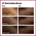 thumbnail image 3 of Revlon Colorsilk Beautiful Color Permanent Hair Dye, Dark Brown, At-Home Full Coverage Application Kit, 37 Dark Golden Brown, 3 Pack, 3 of 11