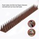 thumbnail image 2 of Anti Bird Pigeon Cat Anti-theft Repelling Spikes Fence Deterrent Plastic Wall Spike, 2 of 5