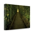 thumbnail image 2 of Tunnel Of Shrub II By Dennis Frates, 29" x 20" Fine Art Giclee Print on Gallery Wrap Canvas, Ready to Hang, 2 of 2
