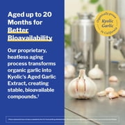 Kyolic Aged Garlic Extract Formula 100, Cardiovascular Health, 100, tablets.