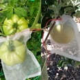 thumbnail image 5 of Nylon insect-proof mesh bag soaking bag anti-bird firm gauze bag cross-border insect-proof bag/10PCS/6"x4", 5 of 6
