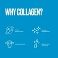 thumbnail image 3 of Bulletproof Vanilla Collagen Protein Powder with MCT Oil, 19g Protein, 42.3 Oz, Value Size, Collagen Peptides and Amino Acids for Skin, Bone and Joint Support, Pasture Raised, No Added Hormones, 3 of 6