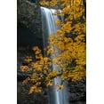 thumbnail image 2 of Jaynes Gallery 11x14 Gold Ornate Wood Framed with Double Matting Museum Art Print Titled - USA-Oregon-Silver Falls State Park Tall waterfall and forest in autumn, 2 of 4