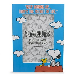 Hallmark】PEANUTS アートフレーム チャーリー＆スヌーピー