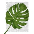 thumbnail image 3 of Fab Funky 20x24 Black Modern Framed Museum Art Print Titled - Monstera Leaf 1, Green on White, 3 of 5