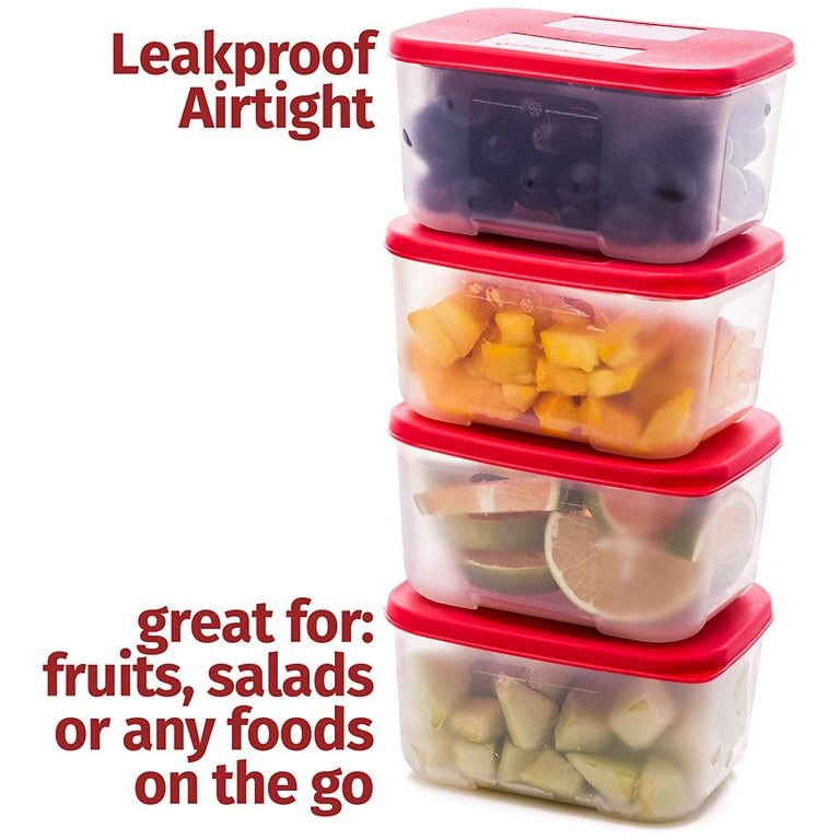 Quicker Defrost- Reusable Freezer Containers with Lids Set of 4-23.5 oz.  for Soups, Leftovers, Meal Prep, Food Storage Airtight Food Storage