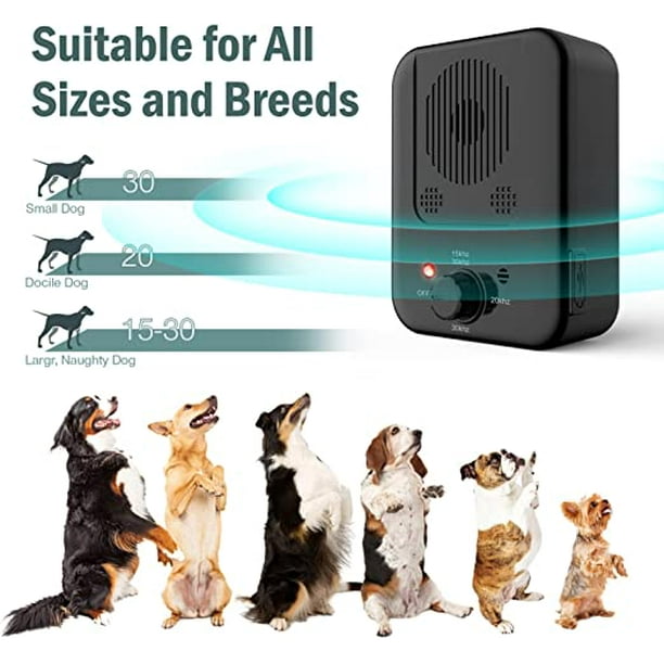 Dog barking best sale out of control