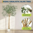 thumbnail image 5 of 9 Ft Artificial Olive Tree with White Planter, Tall Fake Indoor Olive Plant, Realistic Leaves & Fruit, Large Floor Decor for Home, Office, 5 of 7