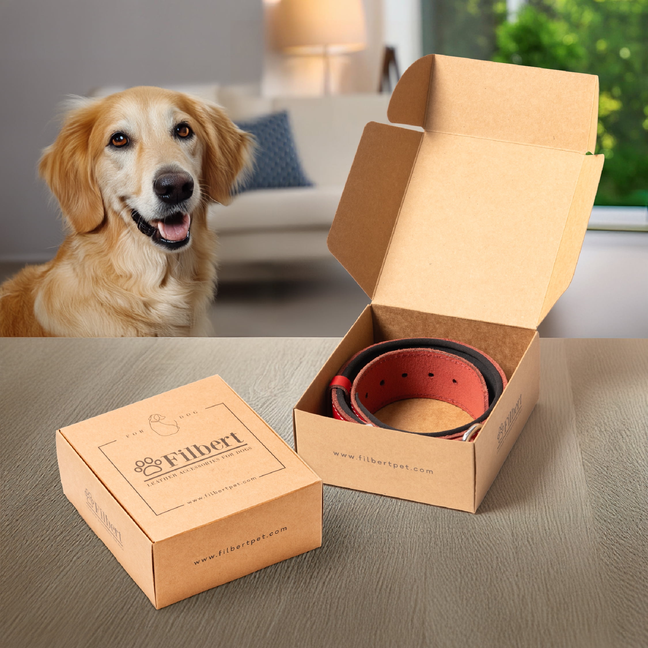 Filbert Leather Dog Collar with Airtag Holder, Airtag Collar For Medium Dogs, Leather, Vegetable Tanned Full Grain, Adjustable for All Breeds,  Heavy Metal Buckle, Ultra-Durable
