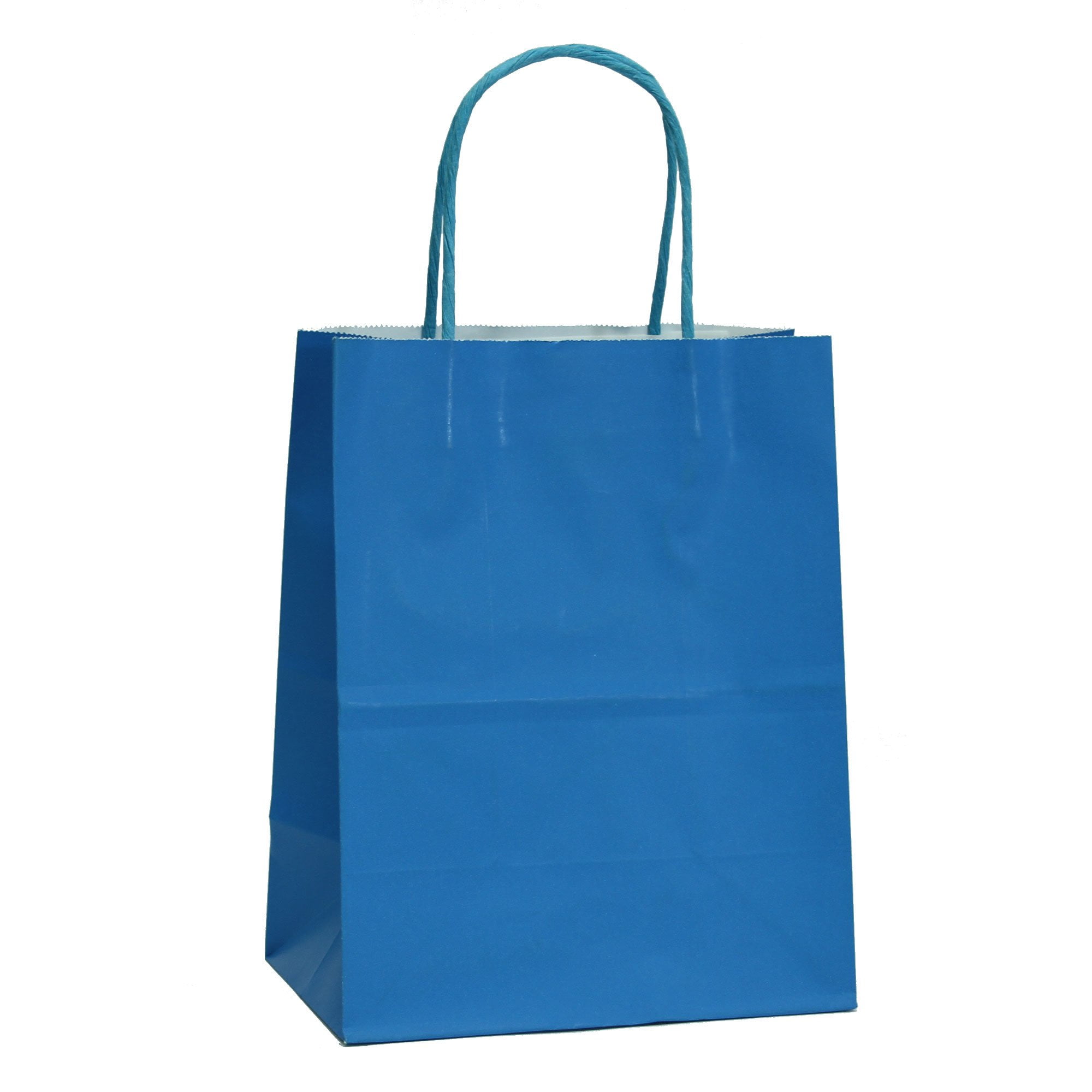 12 CT Large Turquoise Kraft Bags, Kraft Gift Bag, Food Safe Ink & Paper