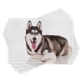thumbnail image 1 of Ambesonne Alaskan Malamute Place Mats Set of 4, Funny Siberian, Standard Size, Brown Cream White, 1 of 6