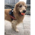 thumbnail image 3 of Pelotas de tenis para perros AMA SPORT, 6,35 cm, 56 g, paquete de 12 unidades para cachorros, 3 of 6