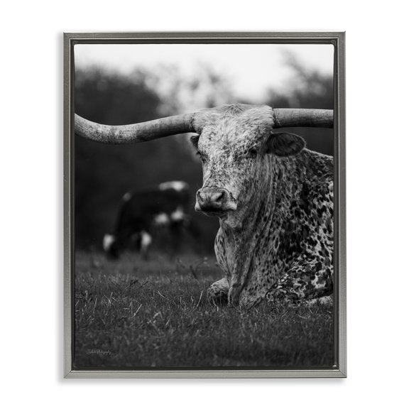 Stupell Industries Rustic Lodge Resting Longhorn Photography Gray Floating Frame Canvas Art, 25 x 31, by Dakota Diener