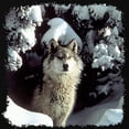 thumbnail image 3 of CafePress - Winter Wolf Sweatshirt (Dark) - Classic Crew Neck Sweatshirt, 3 of 4