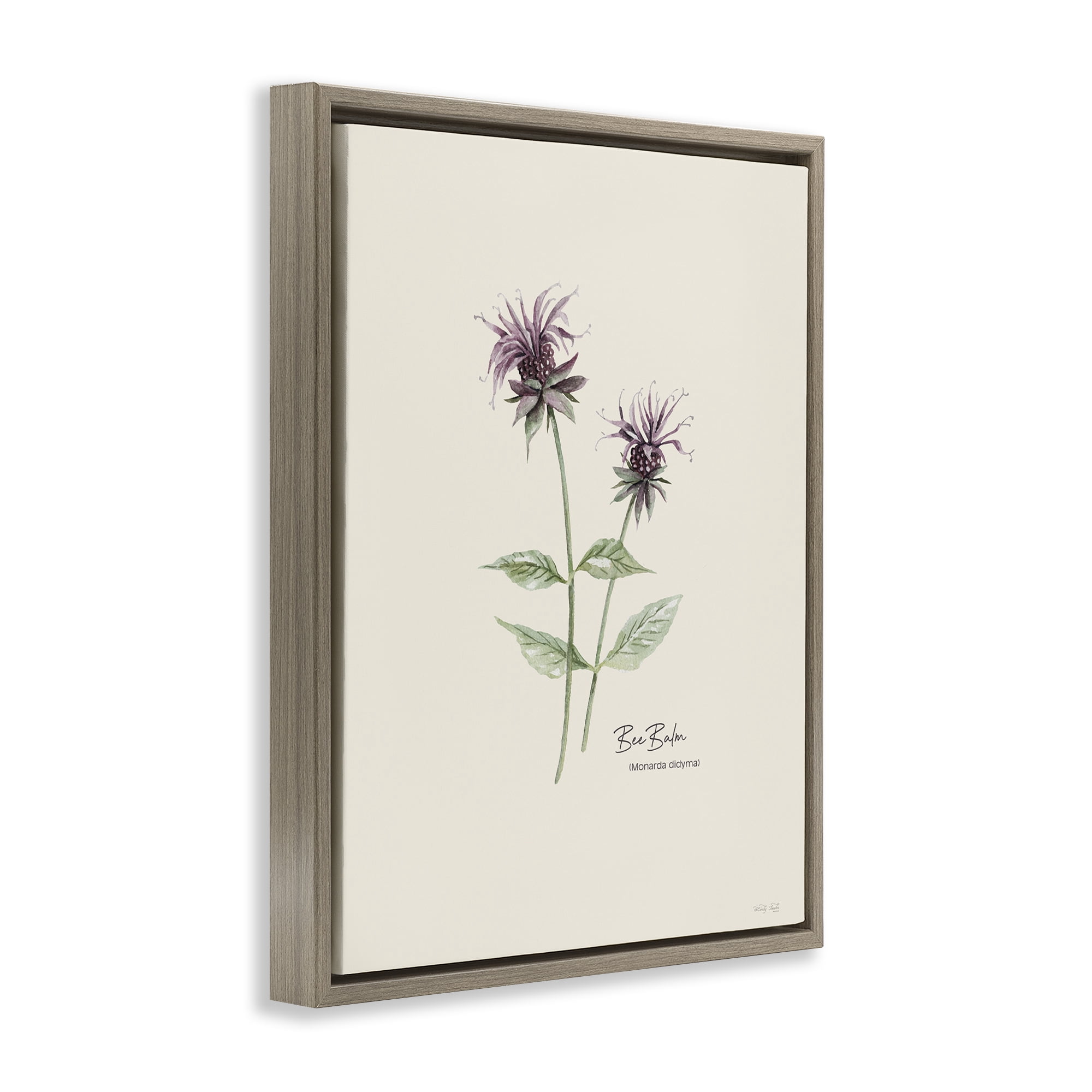 Stupell Industries Bee Balm Herb Botanical & Floral Painting Brown Floater Framed Art Print Wall Art, 25 x 31